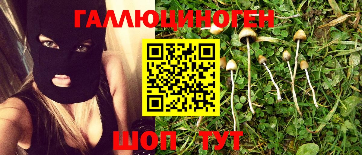 Псилоцибиновые грибы мухоморы Ленинск-Кузнецкий